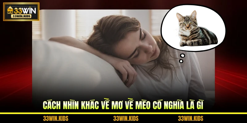 Cách nhìn khác về mơ về mèo có nghĩa là gì